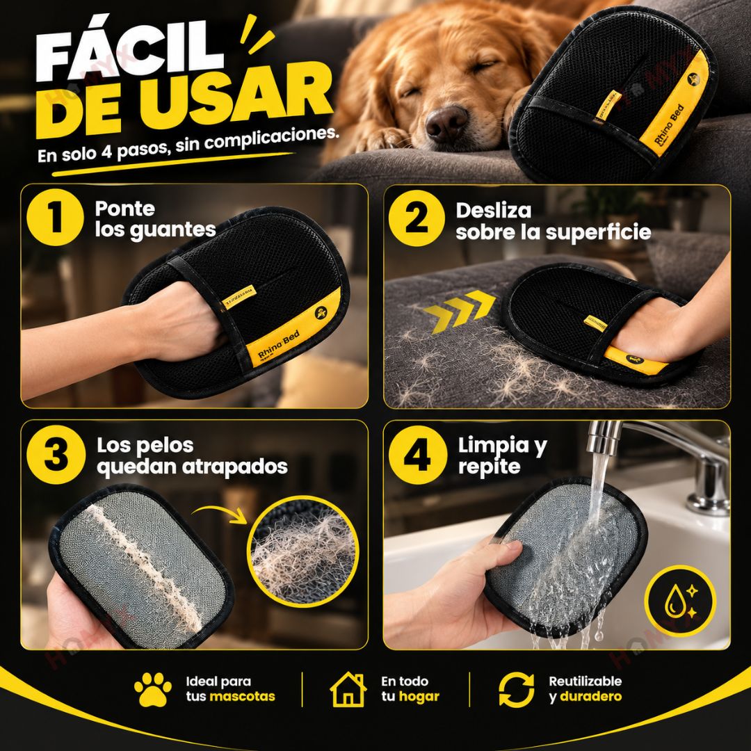 Encabezado