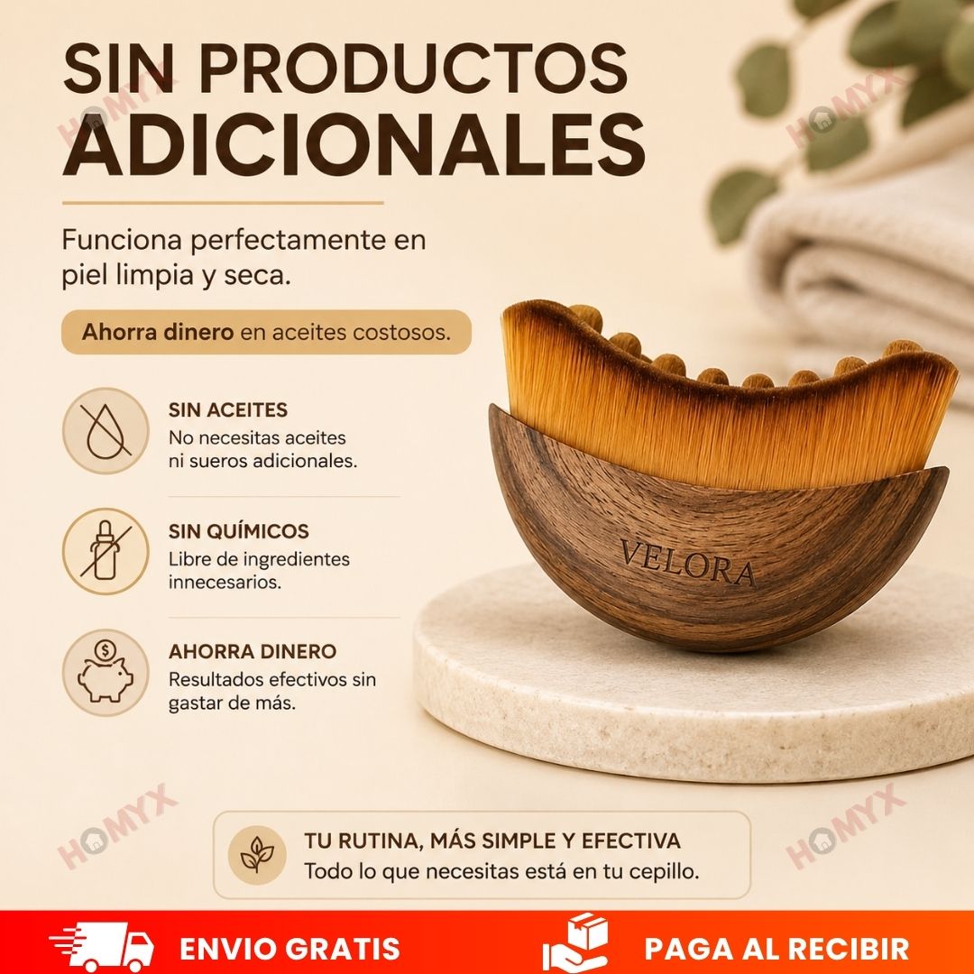 Encabezado