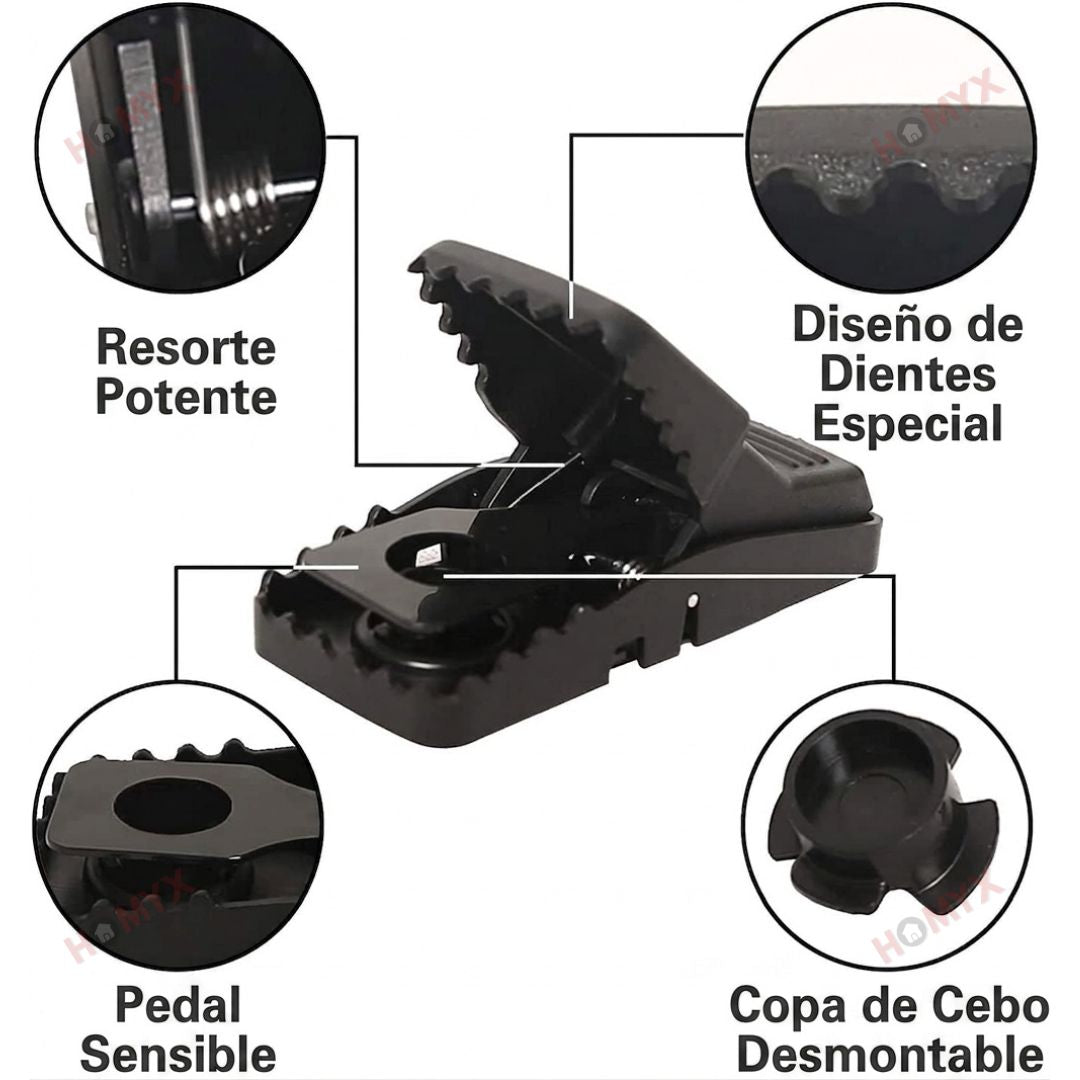 Encabezado