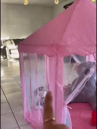 Encabezado