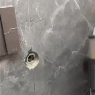 Encabezado
